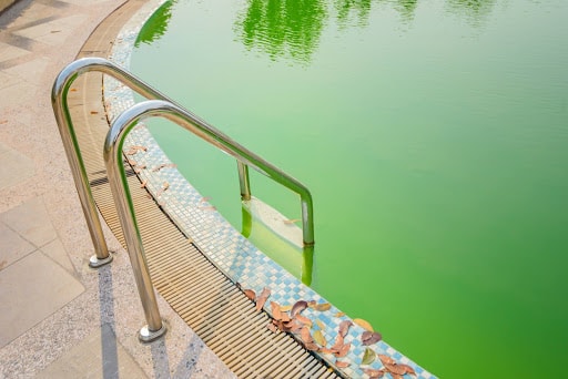 Come prevenire l'acqua verde in piscina