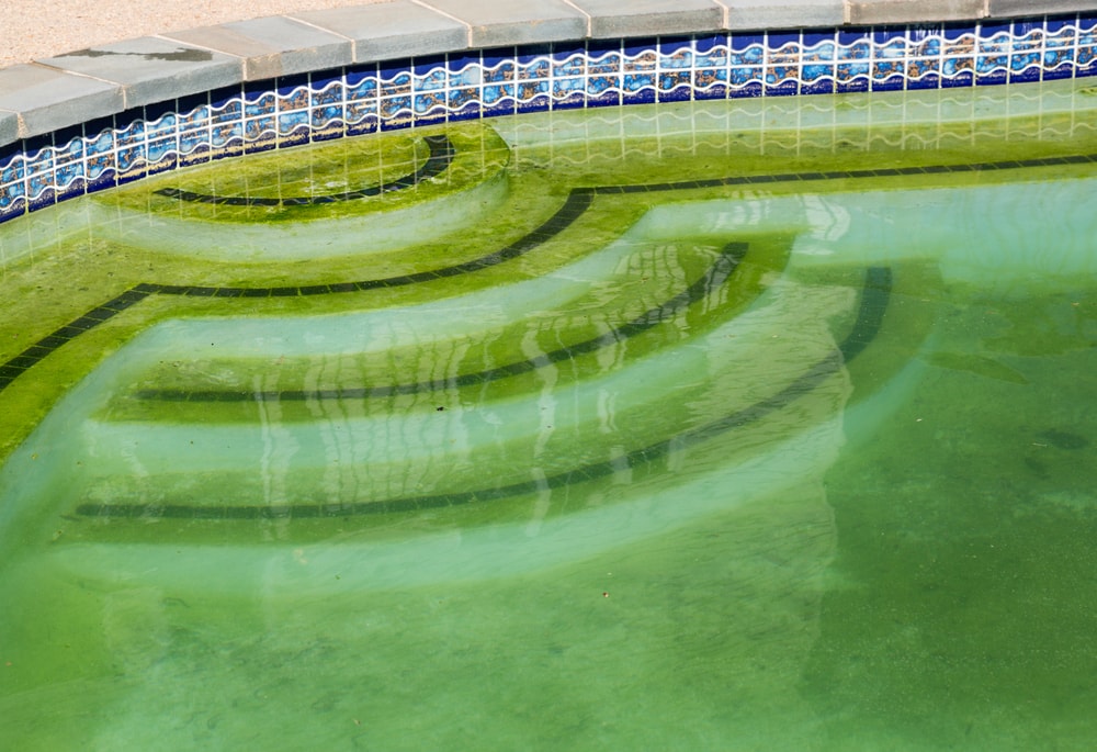 Rimedi acqua verde in piscina